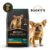 PRO PLAN PUPPY SMALL BREED - RAZAS PEQUEÑAS - comprar online