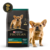 PRO PLAN PUPPY SMALL BREED - RAZAS PEQUEÑAS