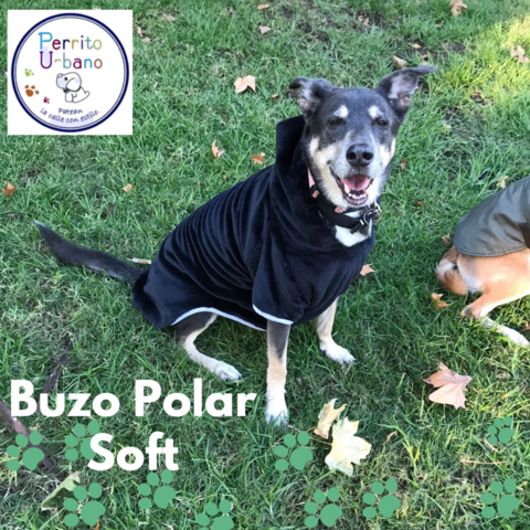 Buzo polar soft sale