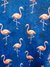 estampa flamingos