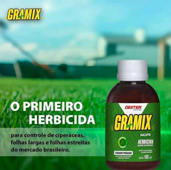 Gramix Herbicida Seletivo 100ml - DEXTER - comprar online