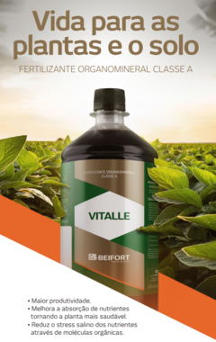 Fertilizante Orgânico Beifort Vitalle 250 Ml na internet