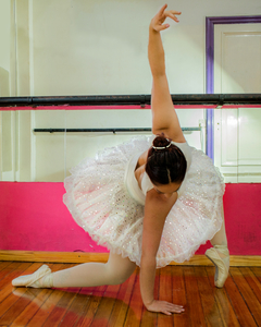 Banner de la categoría Tutus Profesionales Para Ballet