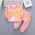 Conjunto inverno infantil feminino