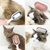 Escova removedora de pêlos gatos e cães e massagem do animal na internet