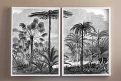 PALMS (Con vidrio)