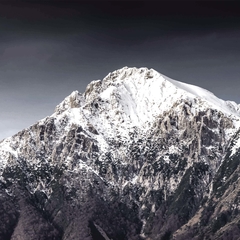Mont Blanc - comprar online