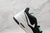 Air Jordan 3 - comprar online