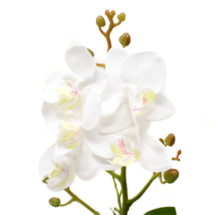Orquídea artificial, 38cm, blanca - comprar online