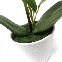 Orquídea artificial, 34cm, blanca - comprar online