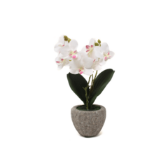 Orquídea artificial, 25cm, blanca