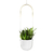 Vaso Suspenso Bolo Planter Preto/Dourado