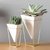 Vasos de Mesa Trigg c/ 2 pc - loja online
