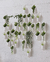 Vasos de Parede Multiusos Floralink Umbra (03 un) - loja online