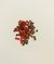 Strass Rojo 4mm - comprar online