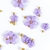 micro flores mix deco-violetas - comprar online