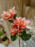 Vara Dhalia x3 flores artificiales artificiales 9080 - comprar online