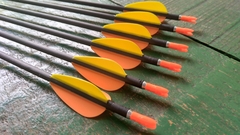 Flechas Carbono - Spine 850 - Skylon Radius - VANES PLÁSTICAS - laranja/amarelo