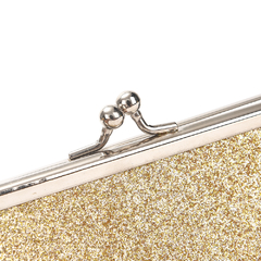 Cartera Clutch Pellizco