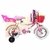 Bicicleta Infantil Bmx Sbk Recreo 12 Aluminio Niñas