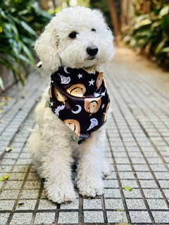 Bandana Halloween