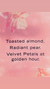 Golden Fragrance Lotion (velvet petals) on internet