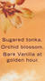 Golden Fragrance Lotion (bare vanilla) na internet