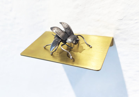 prendedor escarabajo en internet