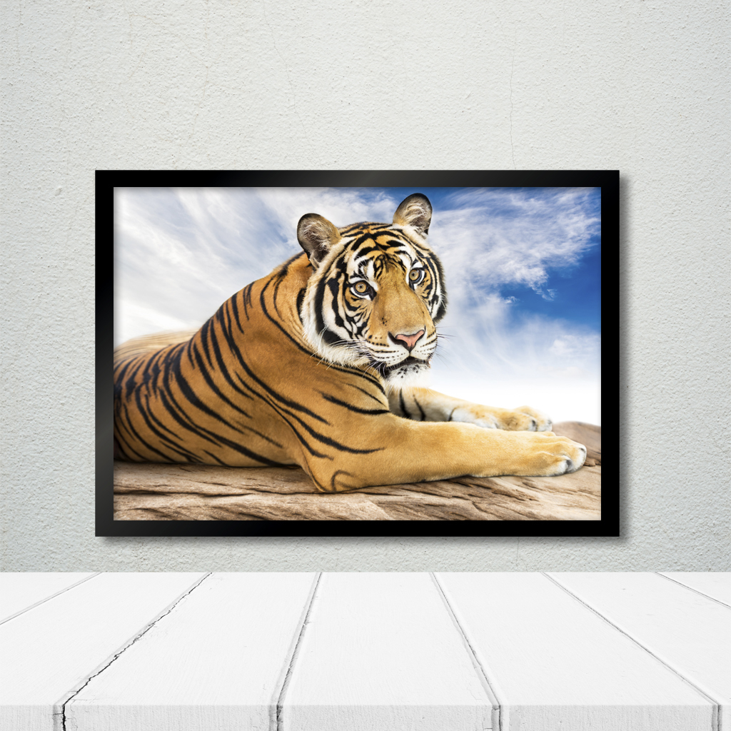 Quadros Decorativos Tigre e Palavras Significados Kit 2 peças