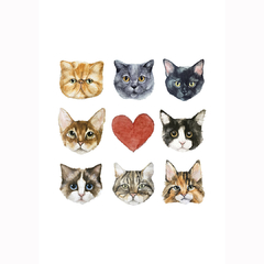 Amo los Gatos - comprar online