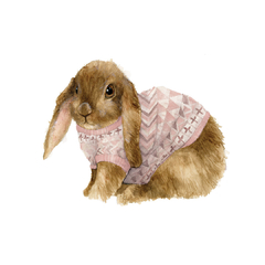 Conejito con sweater rosa - comprar online