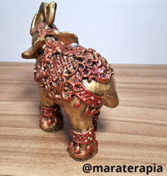 Elefante indiano P 01 14 cm gesso com adorno