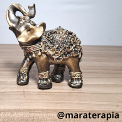 Elefante indiano P 02 14 cm gesso com adorno