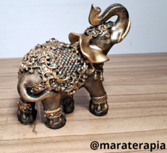 Elefante indiano P 02 14 cm gesso com adorno