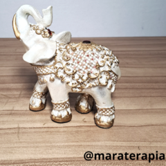 Elefante indiano P 03 14 cm gesso com adorno