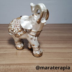 Elefante indiano P 03 14 cm gesso com adorno