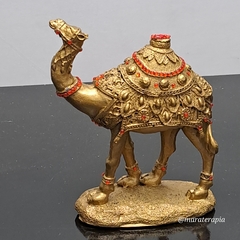 Escultura Camelo M02 16x13cm em resina com adornos - loja online