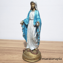 Nossa Senhora das Graças 001 20cm em resina e adorno artesanal na internet