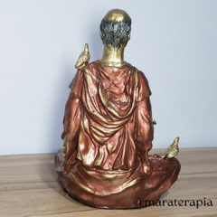 São Francisco meditando 20cm 001 em resina artesanal - Maraterapia presentes wicca I budismo I umbanda I católico I decoração I antiguidades I animais