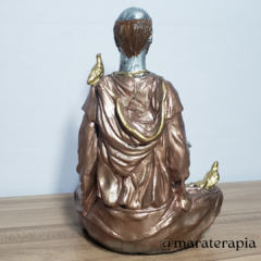 São Francisco meditando 20cm 002 em resina artesanal - Maraterapia presentes wicca I budismo I umbanda I católico I decoração I antiguidades I animais