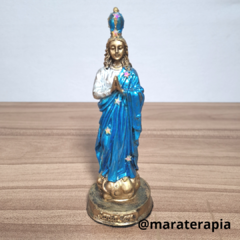 Santa Sara Kali 001 15cm, P02 em resina com adorno - Maraterapia presentes wicca I budismo I umbanda I católico I decoração I antiguidades I animais