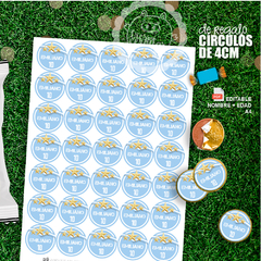 Chip bag camiseta ARGENTINA Tri Campeones en internet