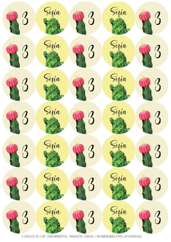 Imagen de Kit imprimible Cactus para nena