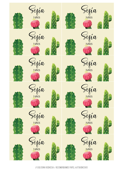 Kit imprimible Cactus para nena - Tres Cerditos Kits Imprimibles