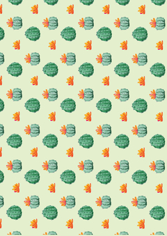 Imagen de Kit imprimible Cactus para nene