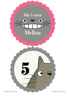 Kit imprimible Totoro en internet