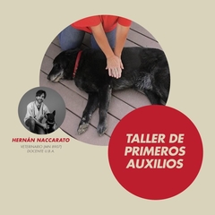 Taller de RCP en Perros y Gatos - comprar online