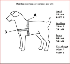 1. ARNES ANTI TIRONES en internet