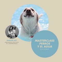 LOS PERROS Y EL AGUA - comprar online