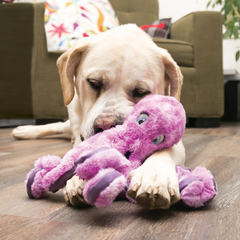 Peluche Kong Pulpo Hermoso - comprar online